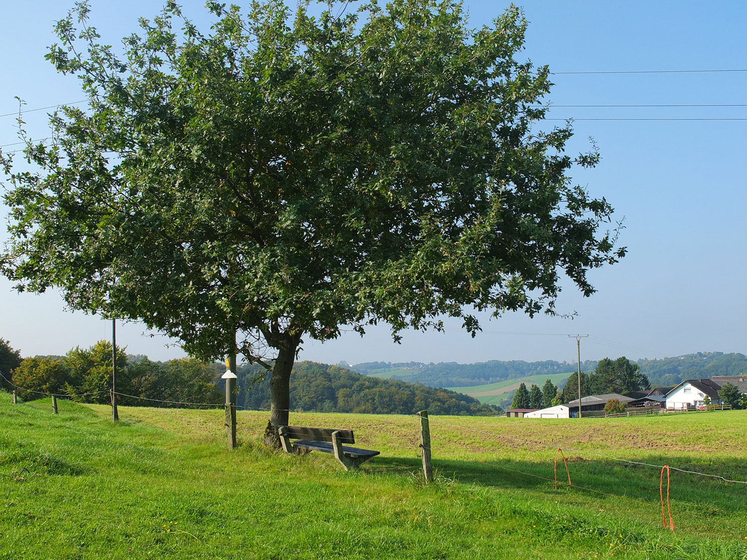 2017-09-27Schönenberg-unterhalb-Wasserbehälter6-1